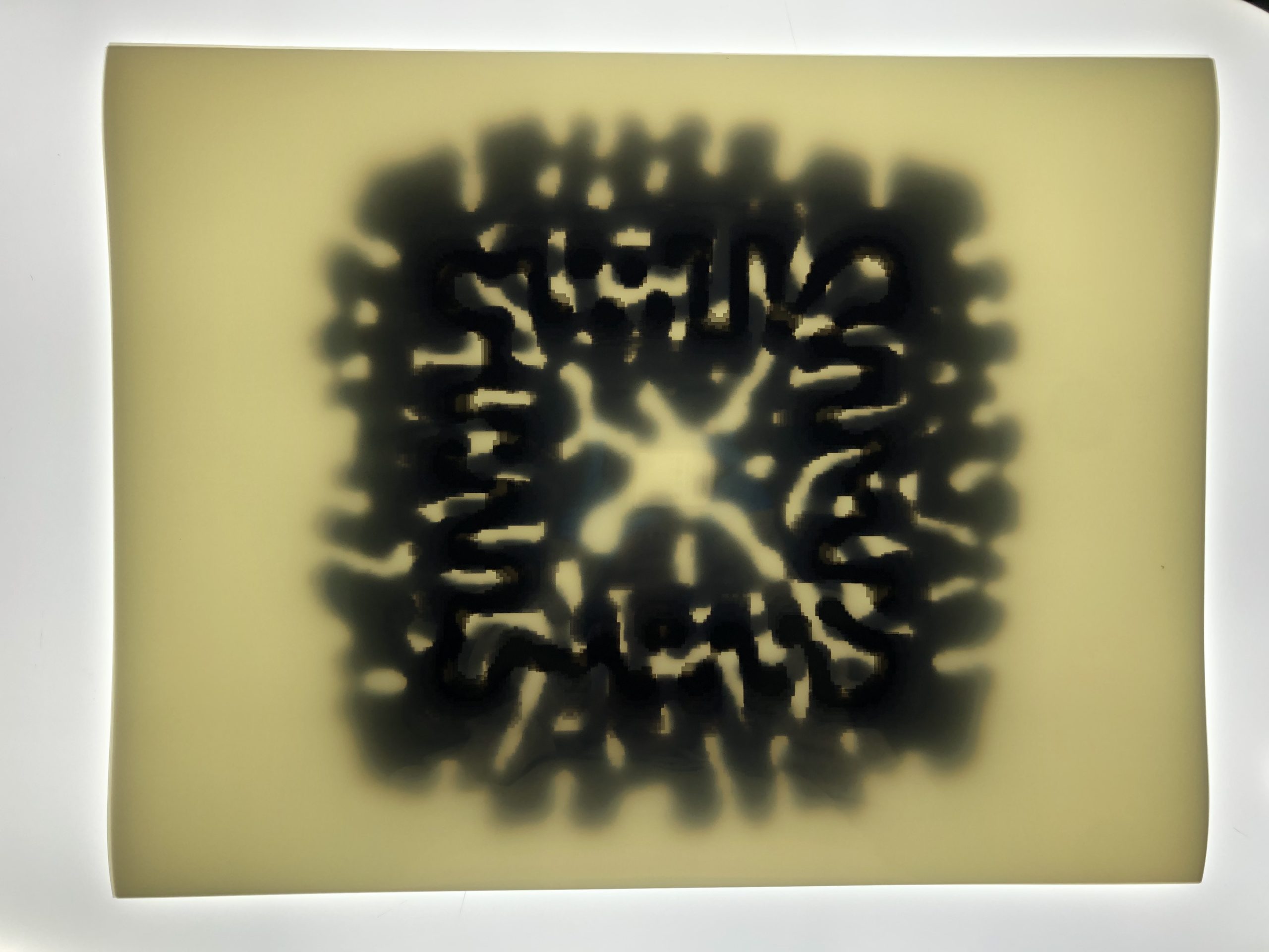 A black spongy structure embedded in a thick stack of transparent plastic sheets