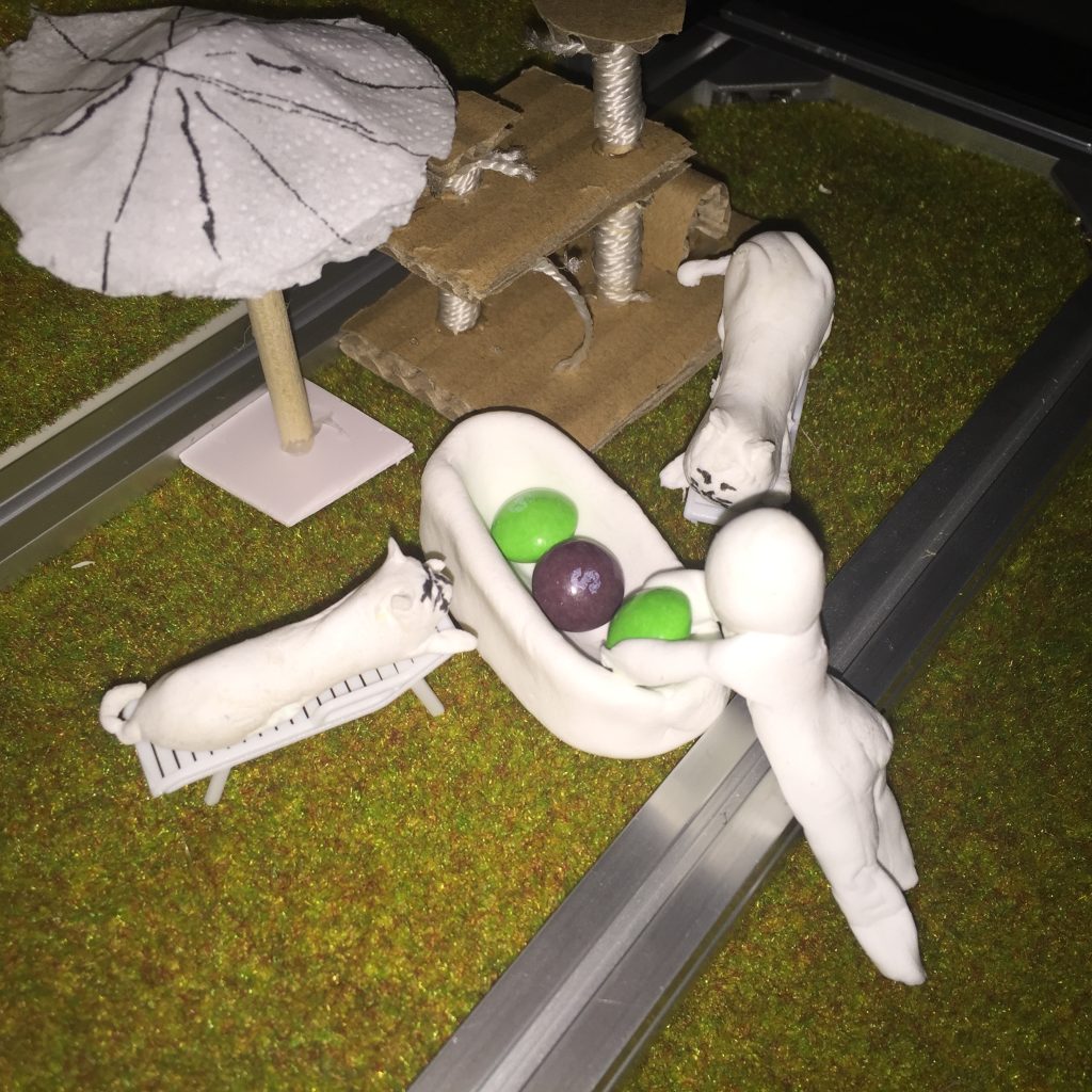 the homeowner and their two cats in our house model