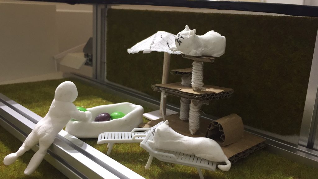 the homeowner and their two cats in our house model