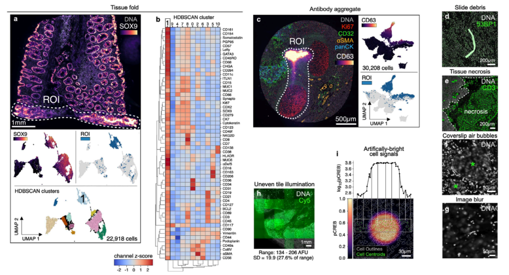 Fig 1 of the CyLinter paper showing various type of image artefacts from high-plex immunofluorescence data